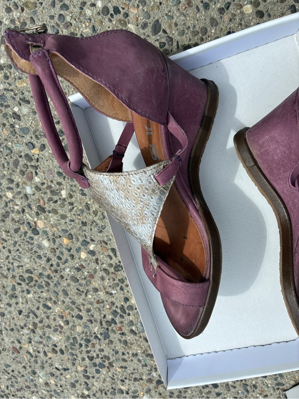 MJUS - Plum Leather Sandals with Snake-Print T Panel - Picture 4 of 7